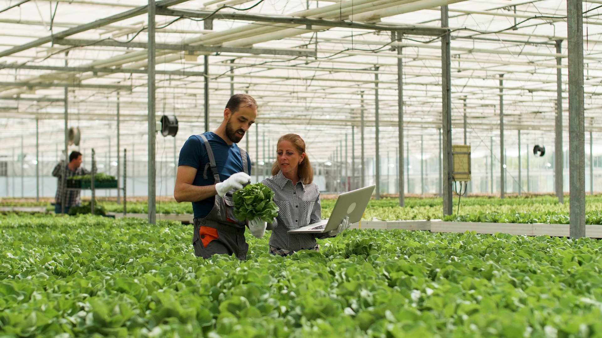 Acquisire competenze agrarie nella scuola Salesiana di Lombriasco